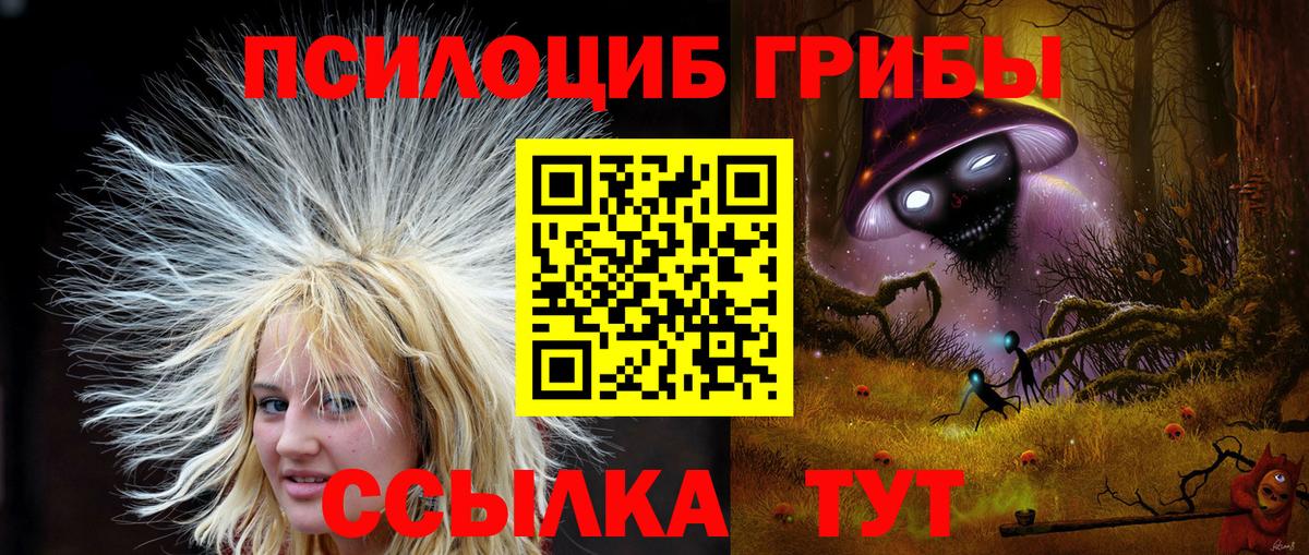 Богородицк  Псилоцибиновые грибы ЛСД  купить наркоту  Вход с VPN 